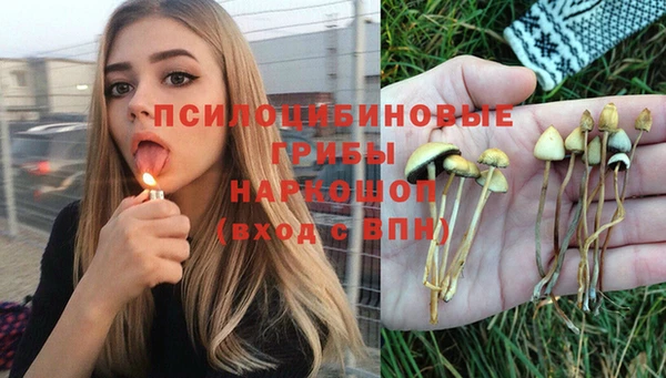 прущий лед Абаза
