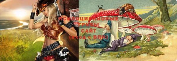 гашик Абинск