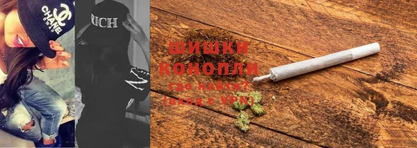 индика Нязепетровск