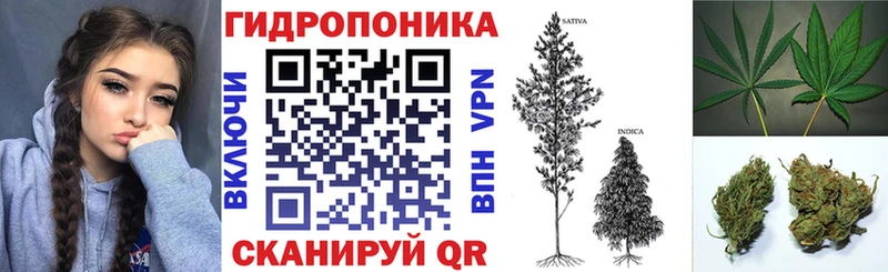 Конопля SATIVA & INDICA  ссылка на мегу сайт  Серафимович  магазин продажи наркотиков 